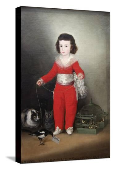 Stretched Canvas Print, , large