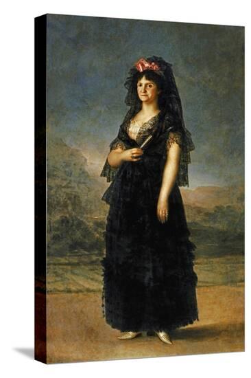 Stretched Canvas Print, , large