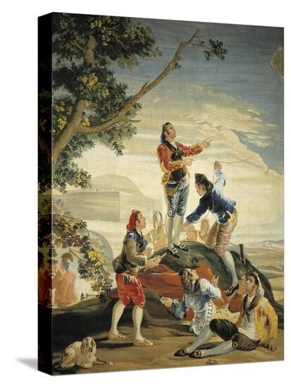 Stretched Canvas Print, , large