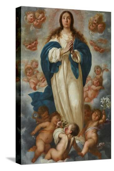 Stretched Canvas Print, , large
