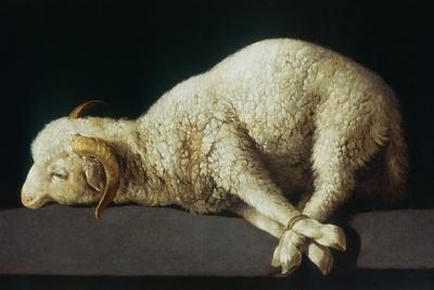 Agnus Dei (Lamb of God)