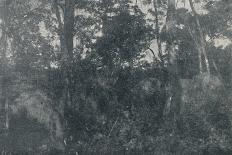 'Salto Grande (Rio Paranapanema)', 1895-Francisco Henszler-Photographic Print