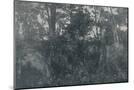 Wood Mount