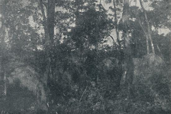 Photographic Print, , large