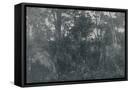 Framed Canvas