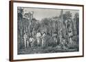 Chelsea Espresso