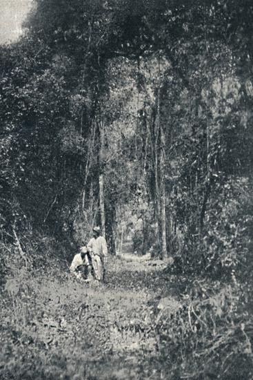Photographic Print, , large