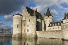 Castle of Sully-Sur-Loire, Loiret, France-Francisco Javier Gil-Photographic Print