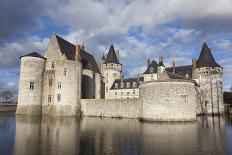 Castle of Sully-Sur-Loire, Loiret, France-Francisco Javier Gil-Photographic Print