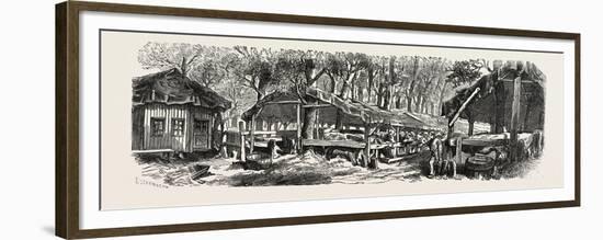 Franco-Prussian War: Refuges in the Jardin Des Plantes in Paris for the Nutrition of Cattle, France-null-Framed Premium Giclee Print