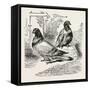 Franco-Prussian War: the Famous Pigeon Gambetta and Keratry-null-Framed Stretched Canvas