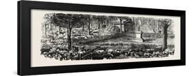 Franco-Prussian War: the Last in the Luxembourg Gardens Housed Sheep, France-null-Framed Giclee Print