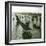 Franco-Russian Celebration, the Harbour, Toulon (Var, France), around 1900-Leon, Levy et Fils-Framed Photographic Print