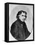 Francois Arago, French Scientist and Statesman, 1853-null-Framed Stretched Canvas