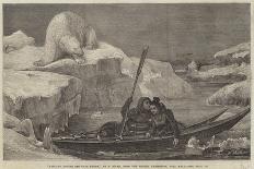 Fishing for Walrus in the Arctic Ocean, 1841-Francois Auguste Biard-Giclee Print