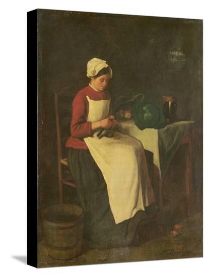 Stretched Canvas Print, , large