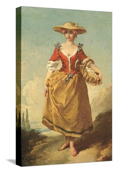Stretched Canvas Print, , large