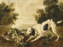 Wolf Attacked by Hounds, Wolf Hunting, Oil Sketch, C.1720-23-François Desportes-Framed Giclee Print