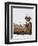 Francois Le Vaillant at the Camp Along the Orange River-Francois Le Vaillant-Framed Giclee Print