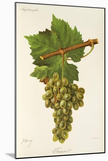 Francois Premier Grape-J. Troncy-Mounted Giclee Print