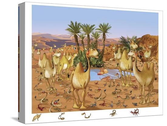 Stretched Canvas Print, , large