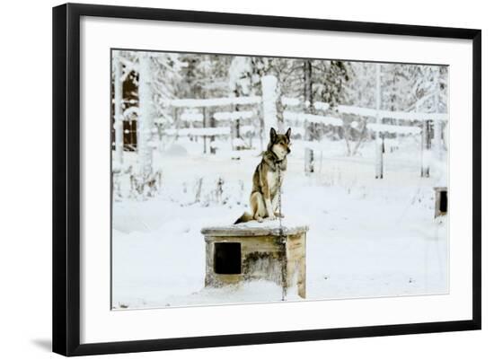 Premium Photographic Print, , large
