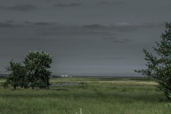 Photographic Print, , large