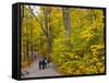 Franconia Notch State Park, New Hampshire, New England, United States of America, North America-Alan Copson-Framed Stretched Canvas