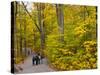 Franconia Notch State Park, New Hampshire, New England, United States of America, North America-Alan Copson-Stretched Canvas