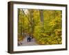 Franconia Notch State Park, New Hampshire, New England, United States of America, North America-Alan Copson-Framed Photographic Print