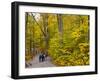 Franconia Notch State Park, New Hampshire, New England, United States of America, North America-Alan Copson-Framed Photographic Print