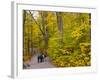 Franconia Notch State Park, New Hampshire, New England, United States of America, North America-Alan Copson-Framed Photographic Print