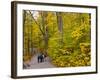 Franconia Notch State Park, New Hampshire, New England, United States of America, North America-Alan Copson-Framed Photographic Print