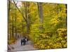 Franconia Notch State Park, New Hampshire, New England, United States of America, North America-Alan Copson-Mounted Photographic Print