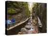 Franconia Notch State Park, New Hampshire, New England, United States of America, North America-Alan Copson-Stretched Canvas