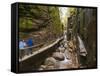 Franconia Notch State Park, New Hampshire, New England, United States of America, North America-Alan Copson-Framed Stretched Canvas