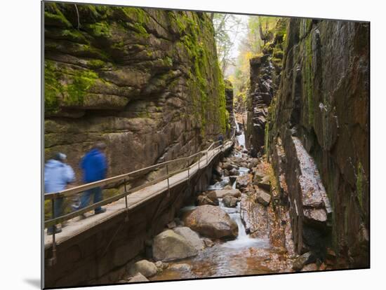 Franconia Notch State Park, New Hampshire, New England, United States of America, North America-Alan Copson-Mounted Photographic Print