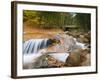 Franconia Notch State Park, New Hampshire, New England, United States of America, North America-Alan Copson-Framed Photographic Print