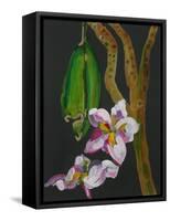 Frangipani Flower, Bequia, 2008-Deborah Barton-Framed Stretched Canvas