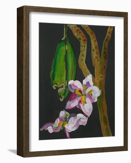 Frangipani Flower, Bequia, 2008-Deborah Barton-Framed Giclee Print