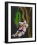 Frangipani Flower, Bequia, 2008-Deborah Barton-Framed Giclee Print