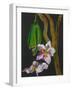 Frangipani Flower, Bequia, 2008-Deborah Barton-Framed Giclee Print