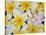 Frangipani Flowers-Darrell Gulin-Stretched Canvas