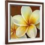 Frangipani I-Clunia-Framed Art Print