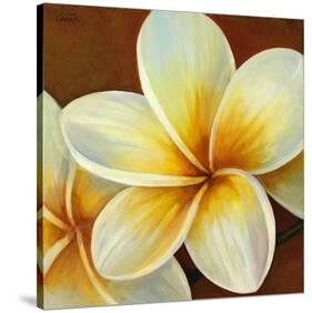 Frangipani I-Clunia-Stretched Canvas