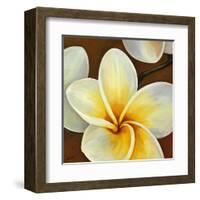 Frangipani II-Clunia-Framed Art Print