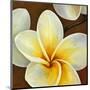 Frangipani II-Clunia-Mounted Art Print