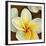 Frangipani II-Clunia-Framed Art Print