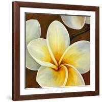 Frangipani II-Clunia-Framed Art Print