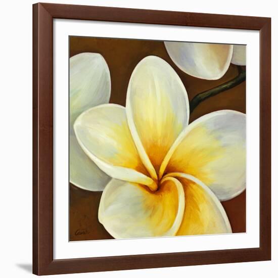 Frangipani II-Clunia-Framed Art Print